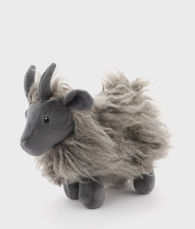 Nana Huchy Aiden the Angora Goat