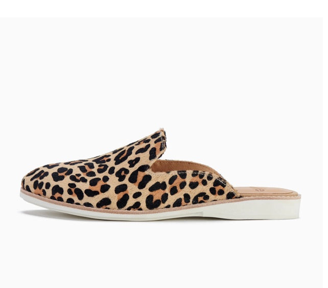 Rollie Derby Mule Camel Leopard